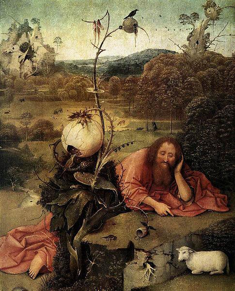 Hieronymus Bosch Saint John the Baptist china oil painting image